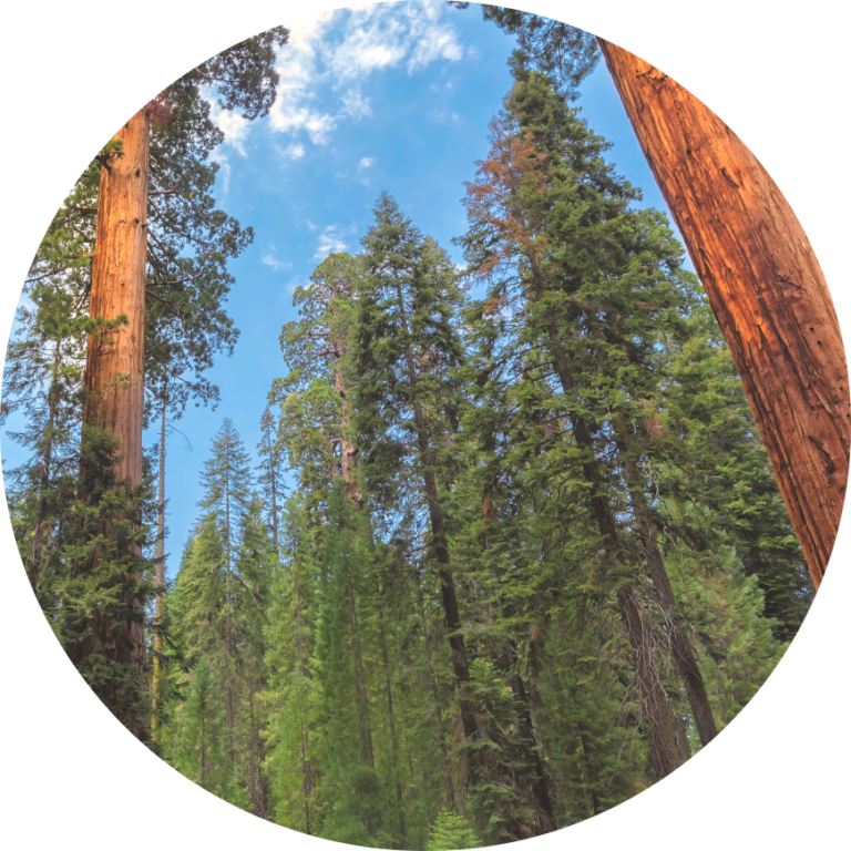 Home California Grants Portal